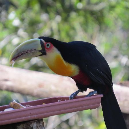 Chale Envidracado No Itaimbezinho Villa Praia Grande  Bagian luar foto