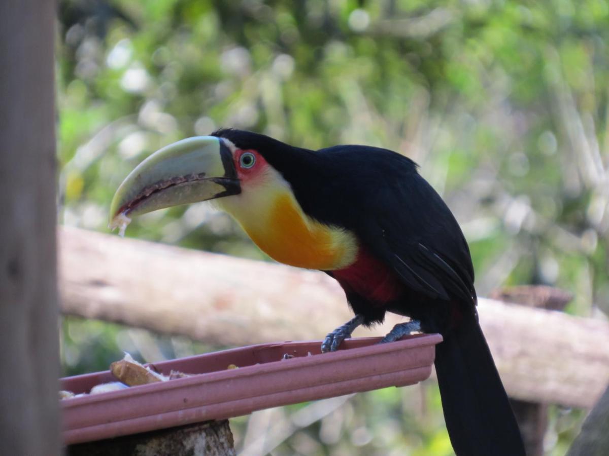 Chale Envidracado No Itaimbezinho Villa Praia Grande  Bagian luar foto