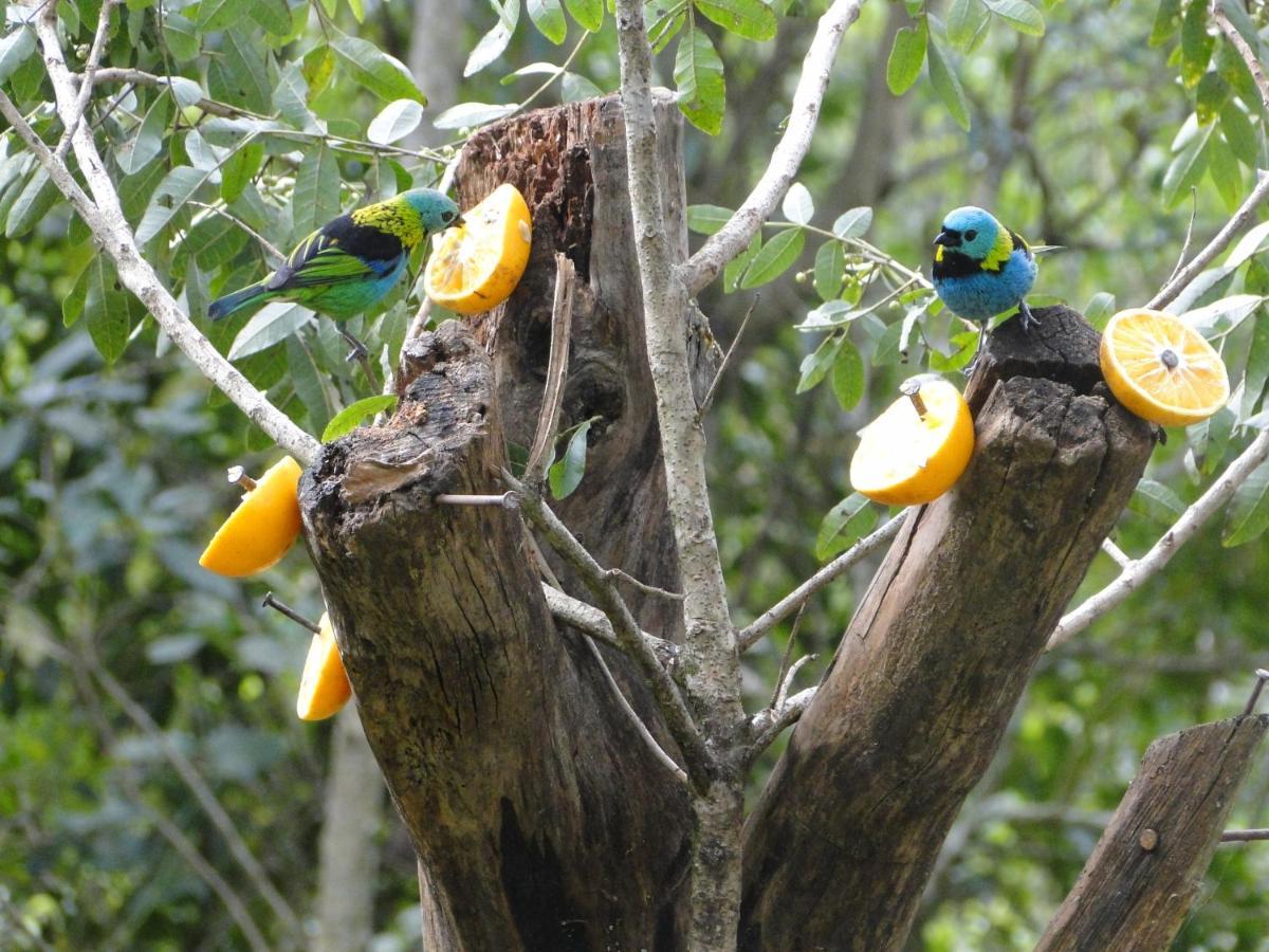 Chale Envidracado No Itaimbezinho Villa Praia Grande  Bagian luar foto